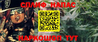 хмурый Гатчина