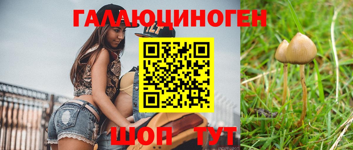 Псилоцибиновые грибы Psilocybine cubensis  Вход с VPN  Псилоцибиновые грибы Magic Shrooms  Надым 